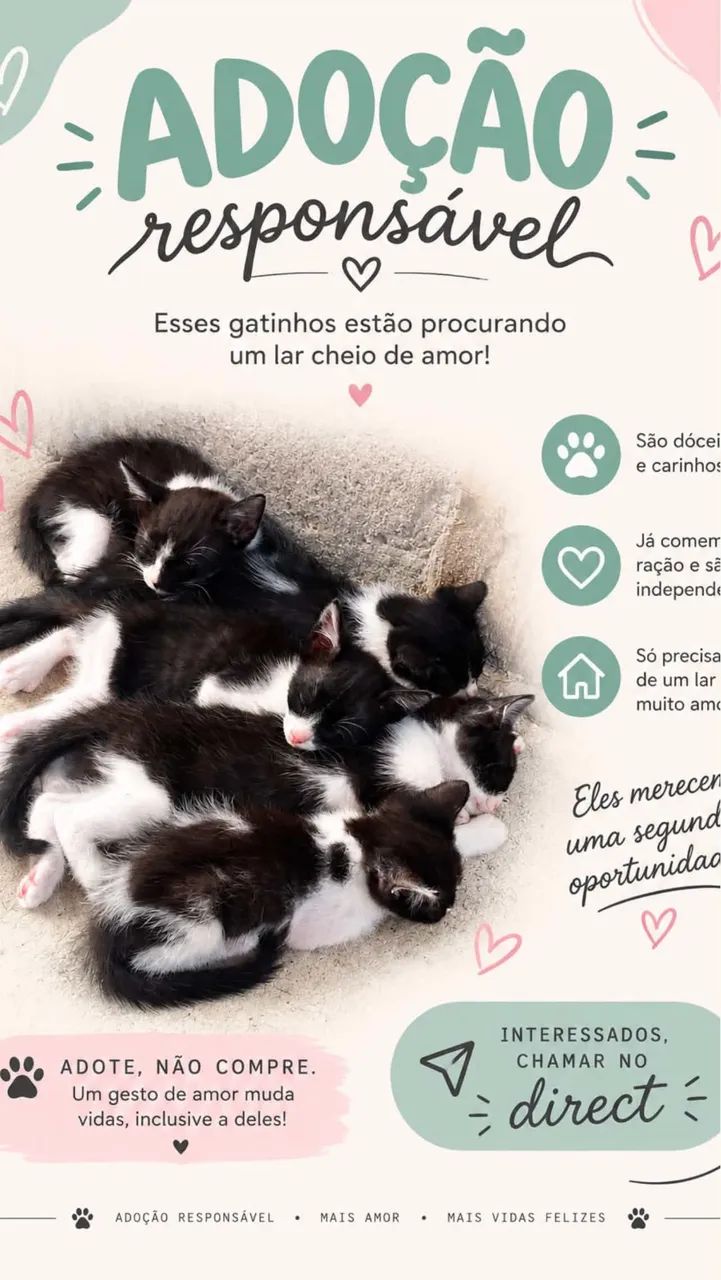 ADOÇÃO RESPONSÁVEL 