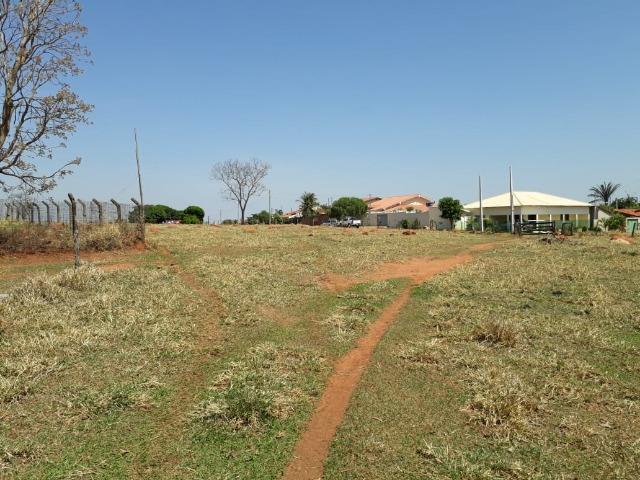 Terreno São Luis Montes Belos - Foto 6