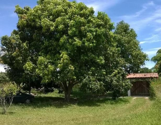 Encantadora Chácara à Venda em Araruama/RJ - Foto 3