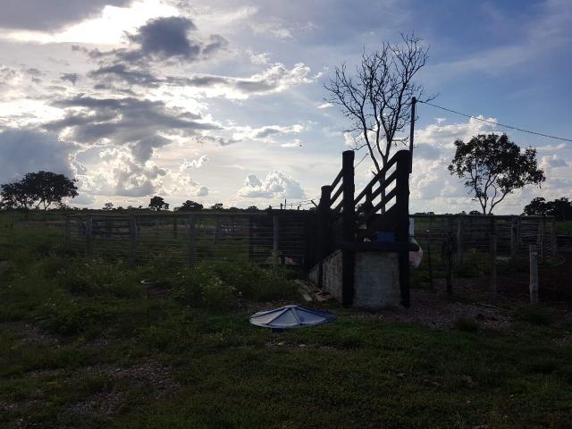 Sítio na br 050 próximo de cuiabá - Foto 7