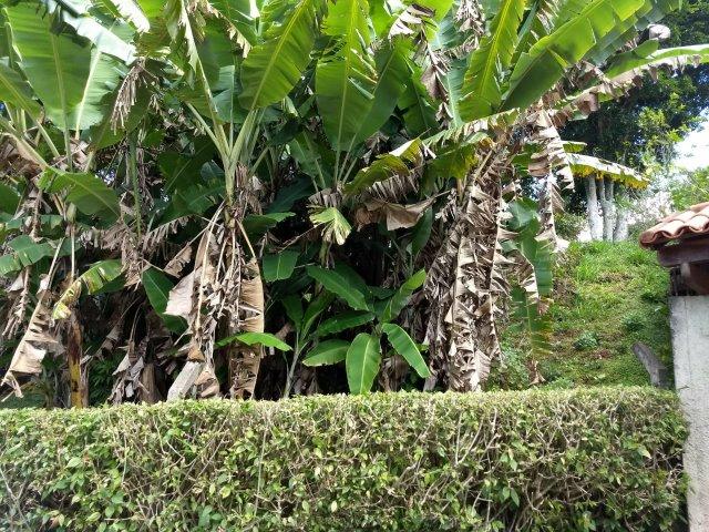 Excelente terreno no centro de Teresópolis - Foto 4