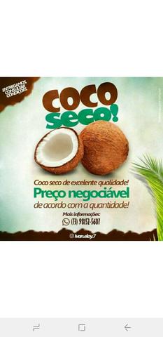 Coco seco de ótima qualidade