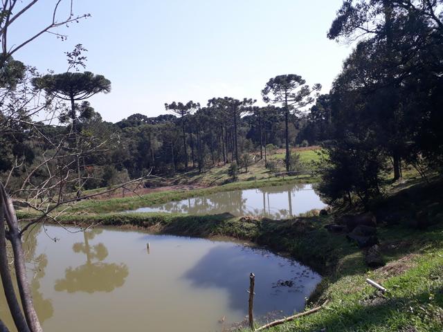 Vendo ou troco Chacara - Foto 5