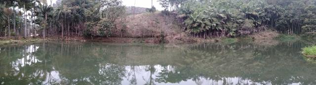 Vendo Sitio em Tijucas - Foto 9