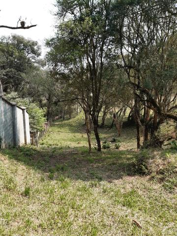 Chácara em perímetro urbano São José dos pinhais - Foto 7