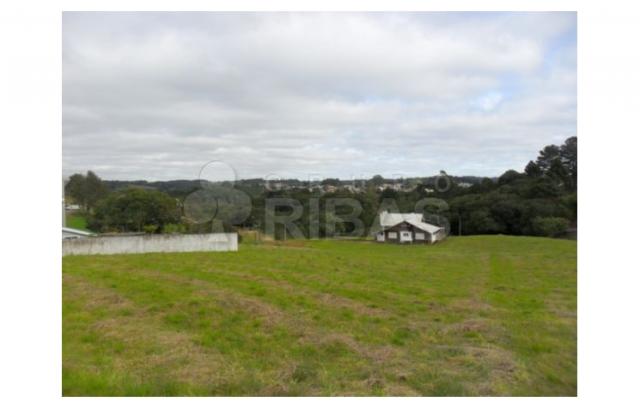 Terreno residencial à venda, vila torres i, campo largo - te0117. - Foto 6