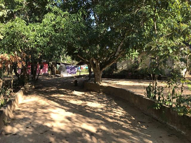 Chácara 7 hectares á venda Rio dos Peixes - Foto 20