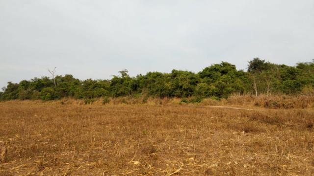 Fazenda Fechada Nova Ubiratã - 1568ha - Foto 4