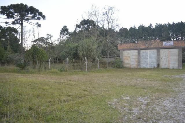 Chácara com 15.400 m² Campo Largo da Roseira - Foto 19