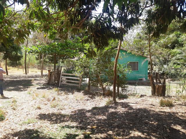 Meio Alqueire em Goiânia Prox a Teresópolis com Casa e Energia e Muita Água - Foto 4