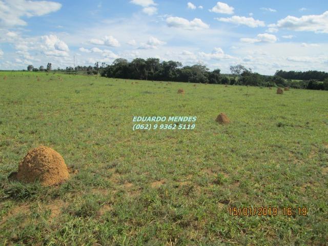 Terra c/ um alqueire sem benfeitorias, 600 metros da BR 060 Abadiânia, expansão Urbana - Foto 8