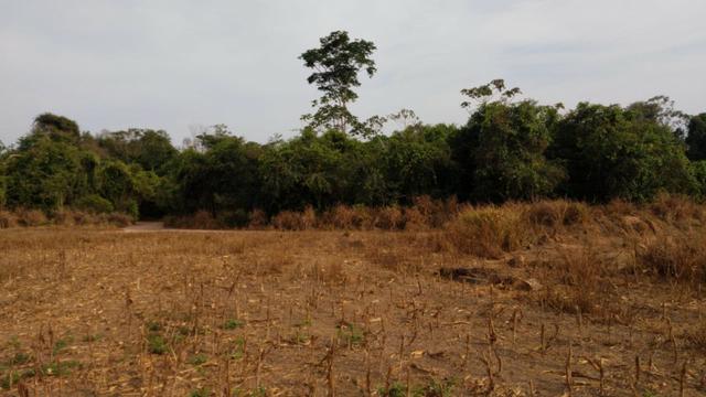 Fazenda Fechada Nova Ubiratã - 1568ha - Foto 2