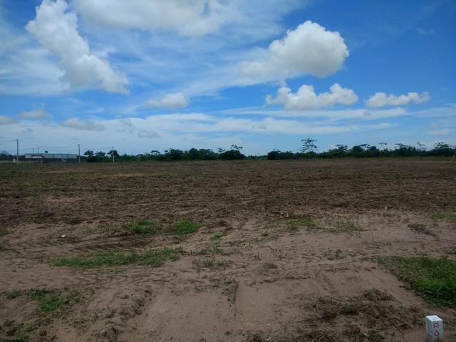 Loteamento bosque das andorinhas BR 406 são Gonçalo do Amarante RN - Foto 4