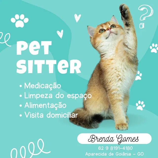 Pet Sitter / Cuidados Pet 