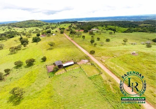 Fazenda em Barrolandia-TO. Troca.
