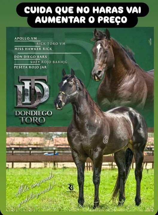 Cobertura a venda do Don Diego Toro - Foto 2