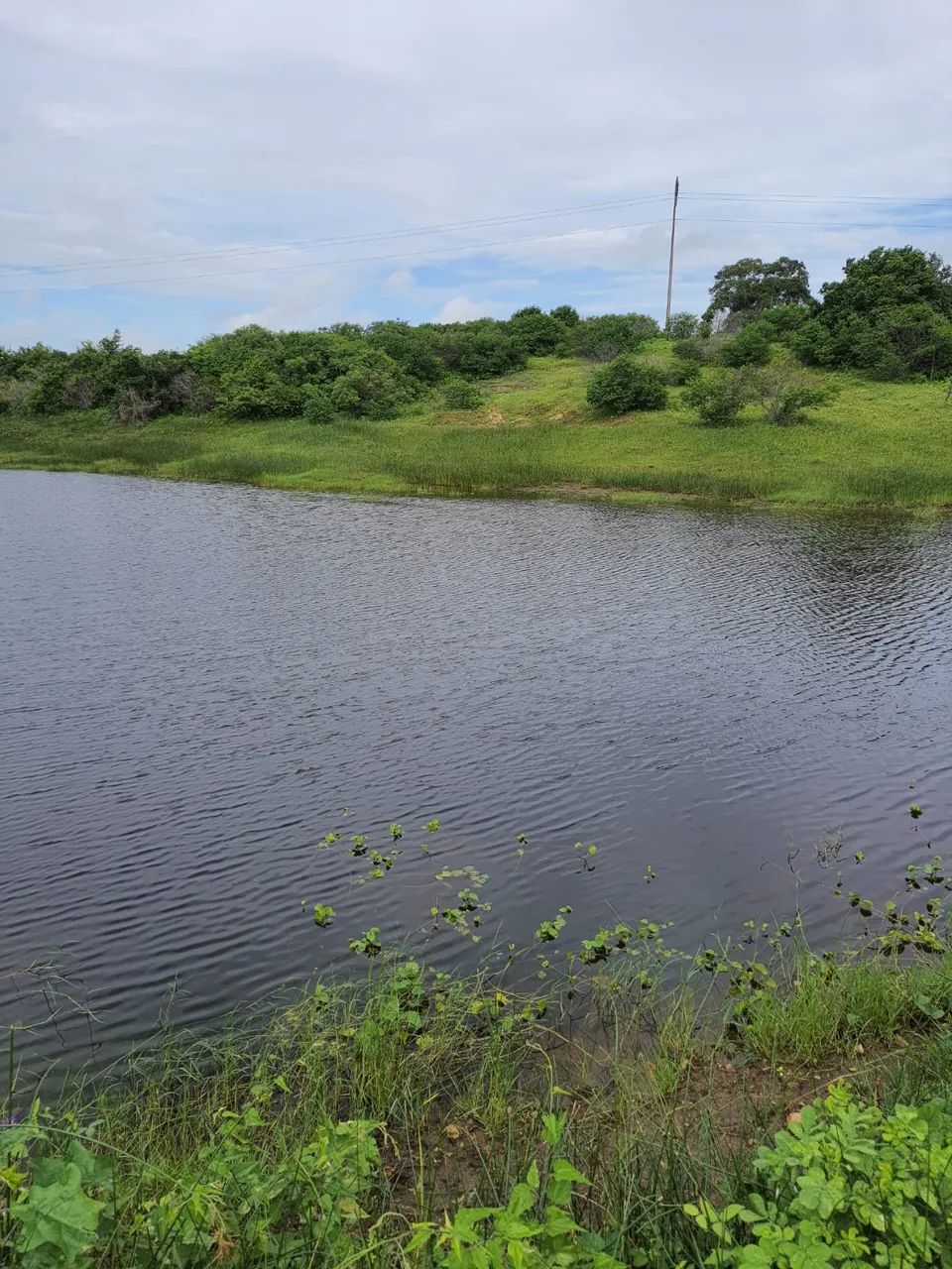 Excelente Fazenda com 30 hectares na região de Monte Alegre - Foto 3