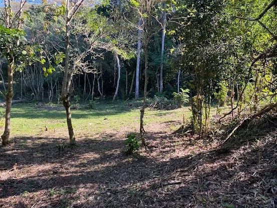 Lagoa da Conceição Terreno(Costa da Lagoa) Oportunidade Imperdível...510 MIL - Foto 6