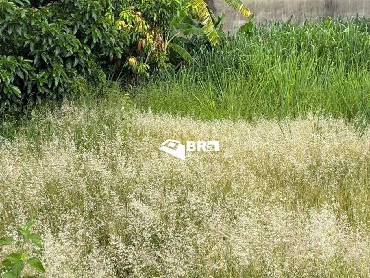 Terreno 360 m² à Venda no Centro de Paulínia  Excelente Localização em Paulínia! - Foto 5