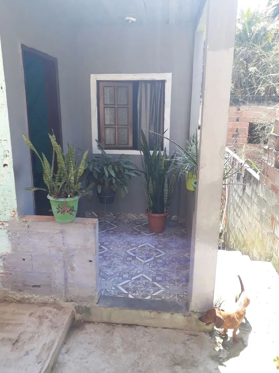 Foto - Niterói - Sapê