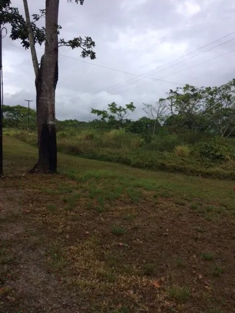Melhor Área 11 Hectares Industrial, 241m de Beira, Pista Guabiraba, Instalação Empresas - Foto 6