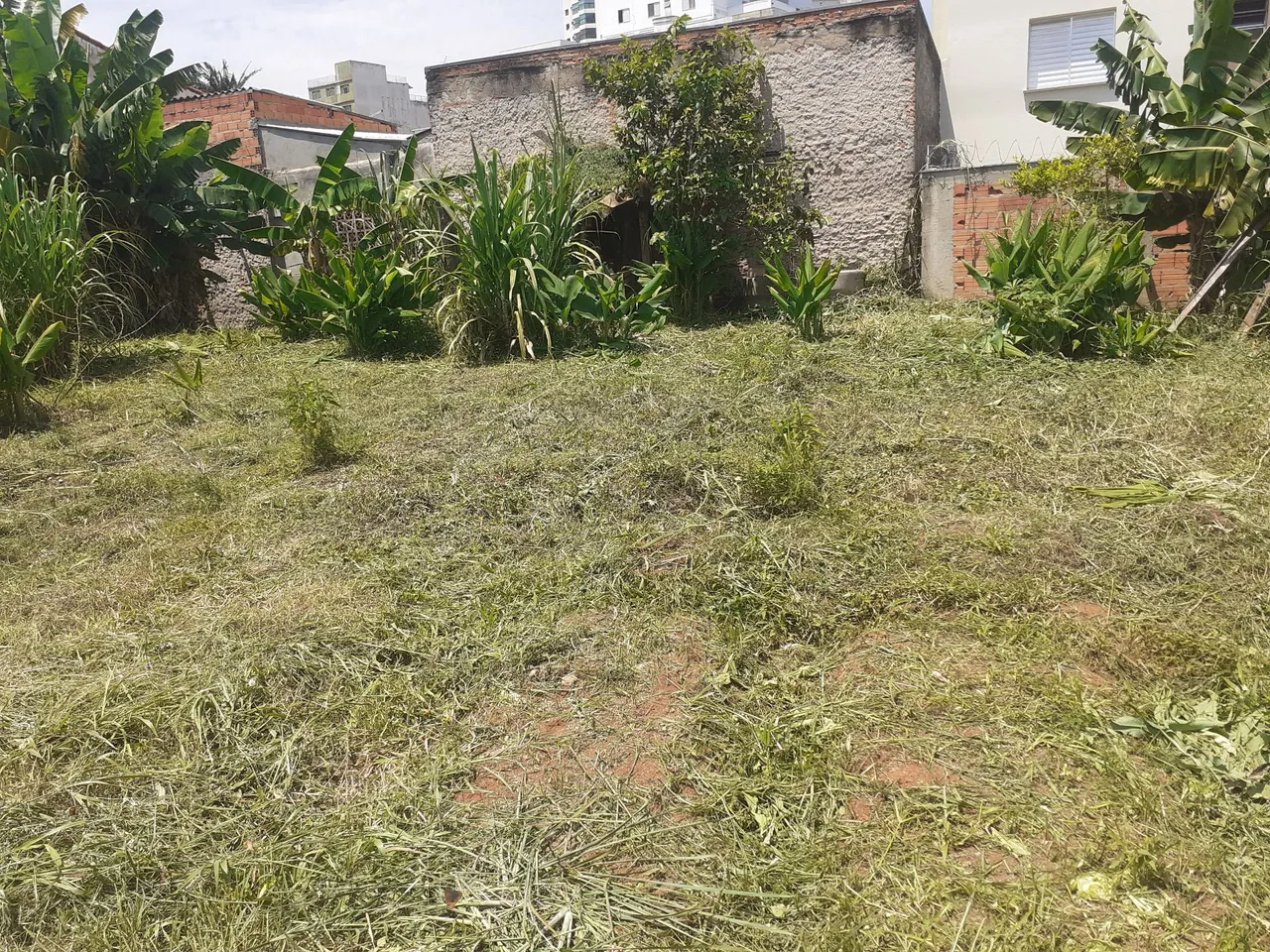 Jardinagem e paisagismo
