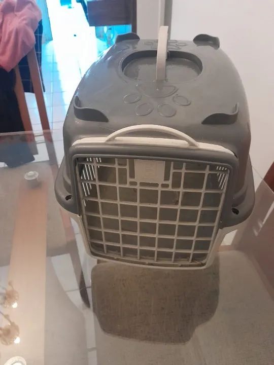 caixa transporte pequena, SÓ CONVERSO VIA ZAP.