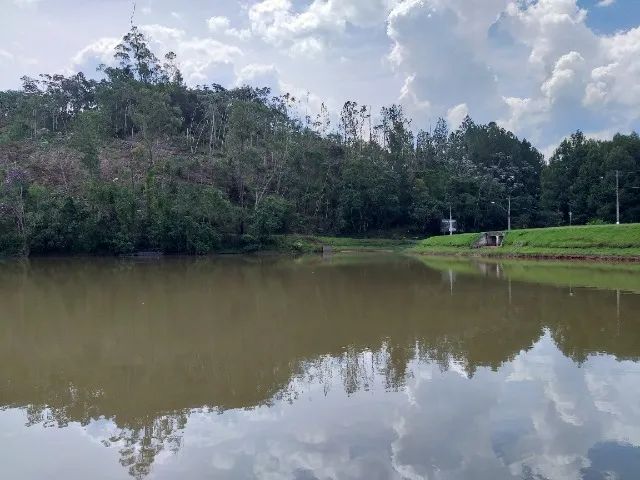 Foto - Santa Isabel - 