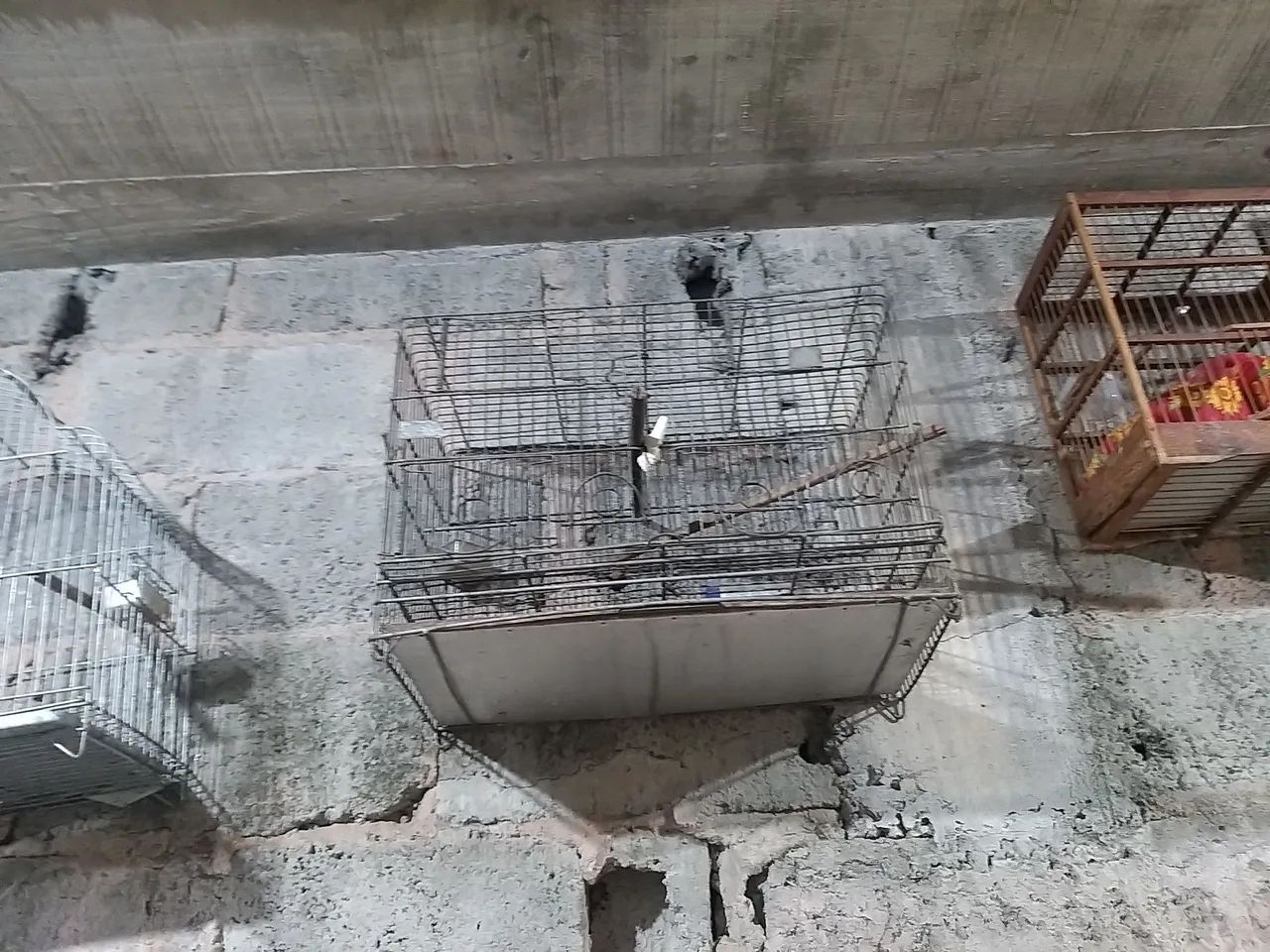 Gaiolas diversas - Foto 3