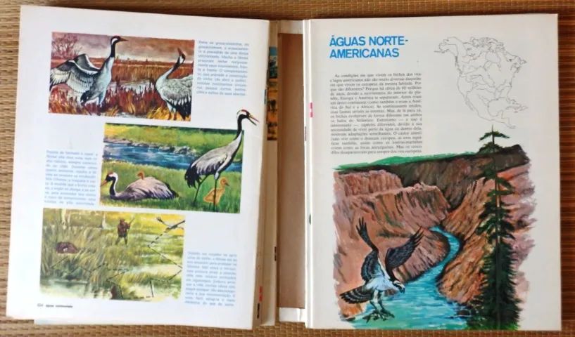 Coleção Os Bichos fascículos com capa - Foto 2
