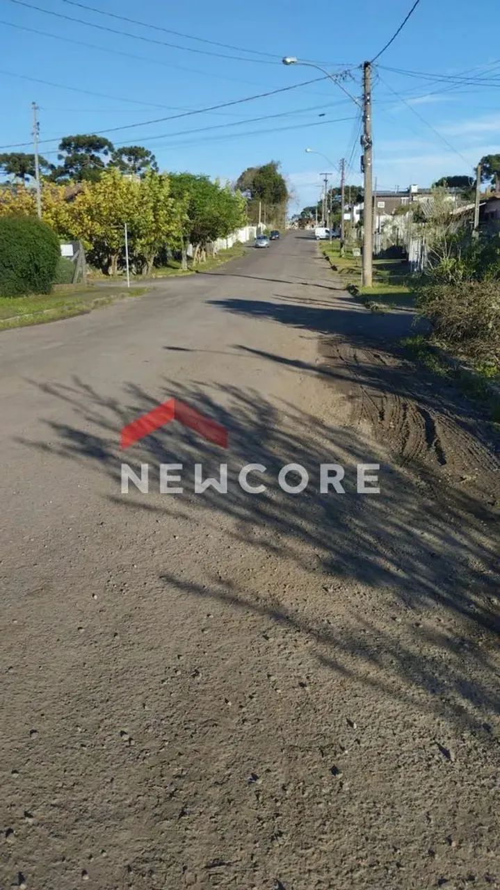 Lote em Centro - Centro - São Francisco de Paula/RS - Foto 2