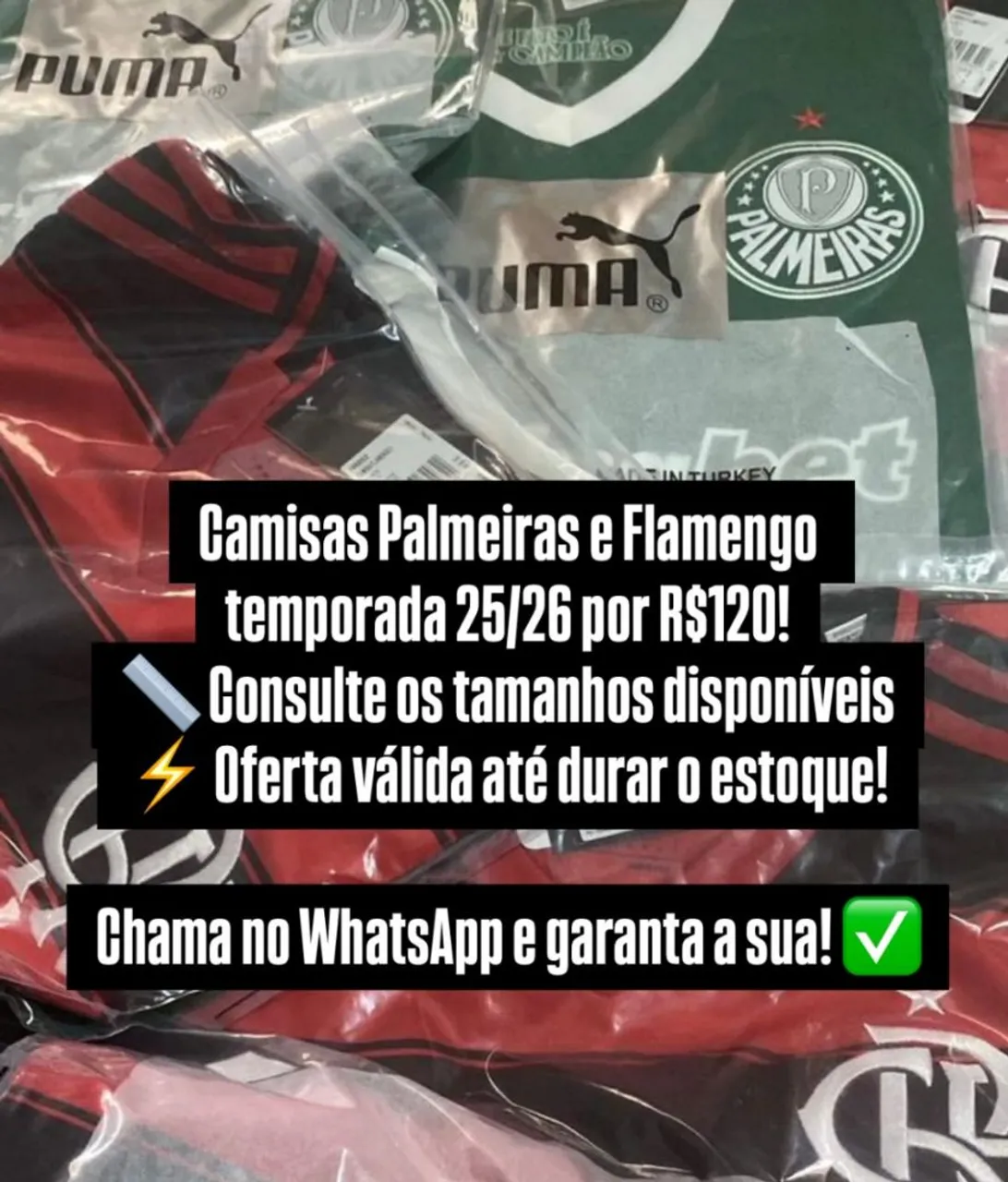 Camisas Palmeiras e Flamengo 25/26 (OLHE A DESCRIÇÃO)