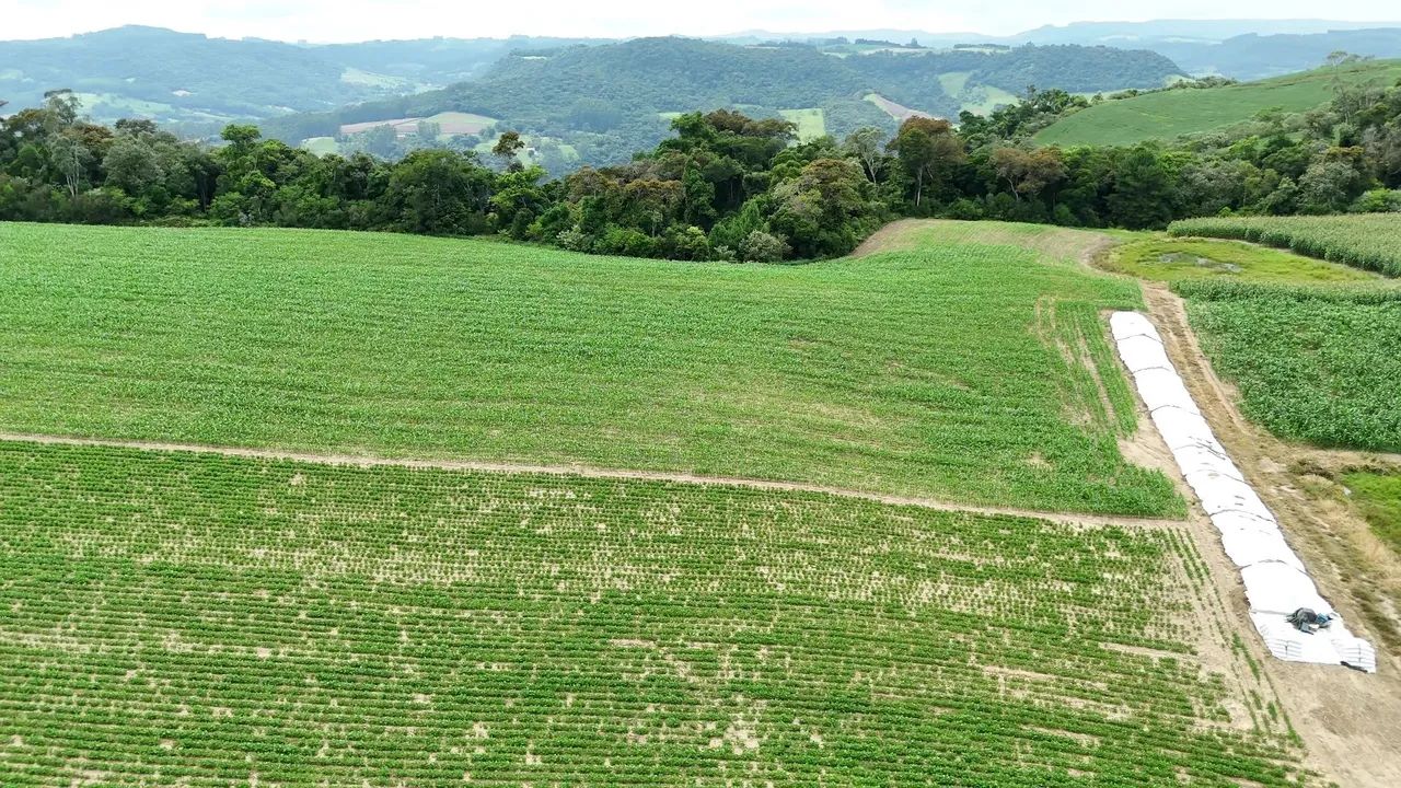 OPORTUNIDADE terreno rural 4,0 Hectares em Rio do Sul - SC - Foto 3