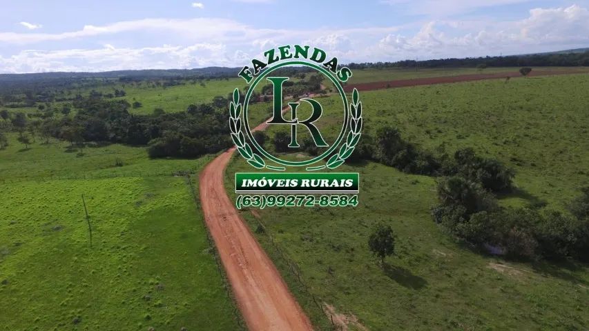 Fazenda/Chácara 31 Alqueires - Foto 4