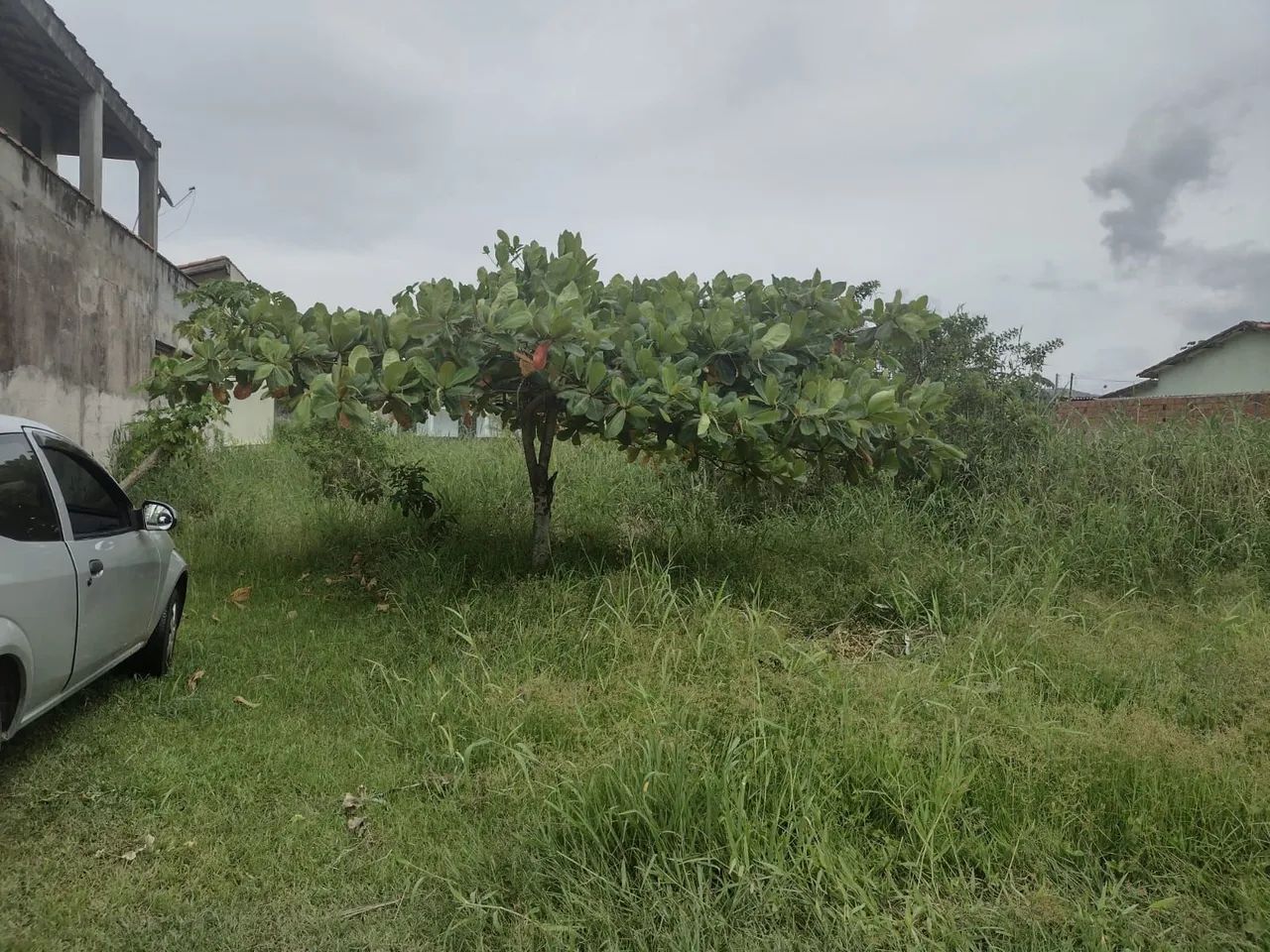 Foto - Ilha Comprida - 