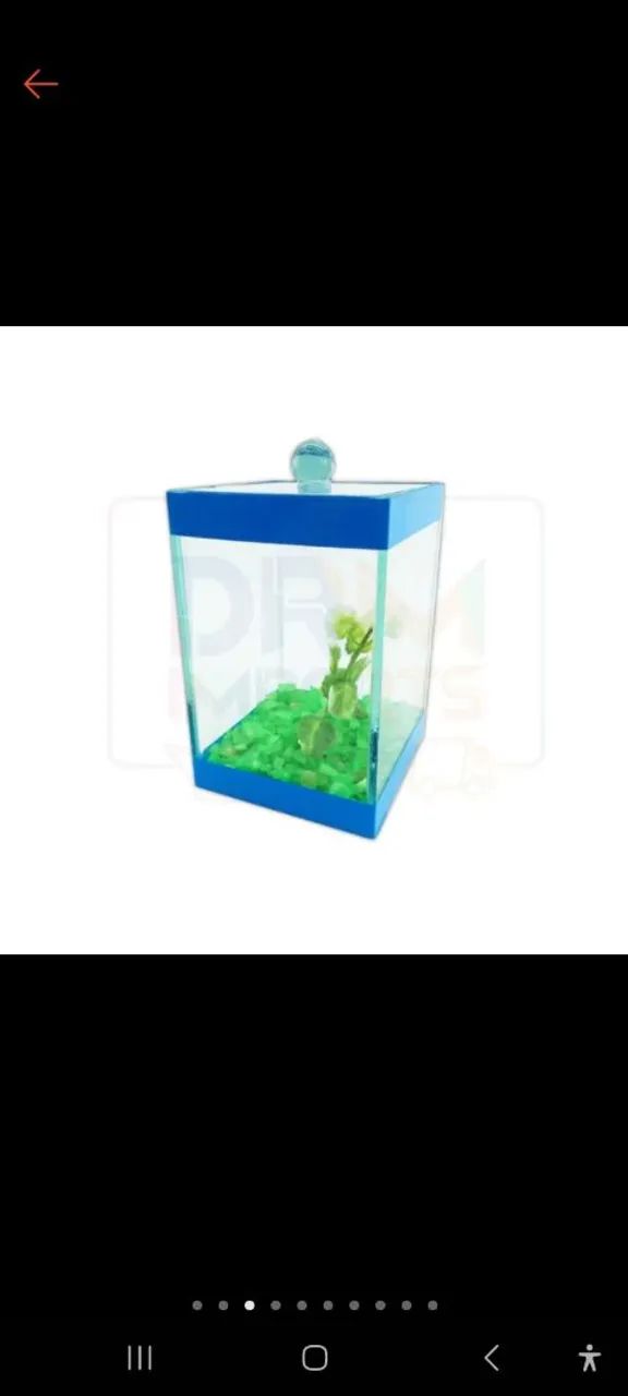 Aquários para decoração e criaçao - Foto 2