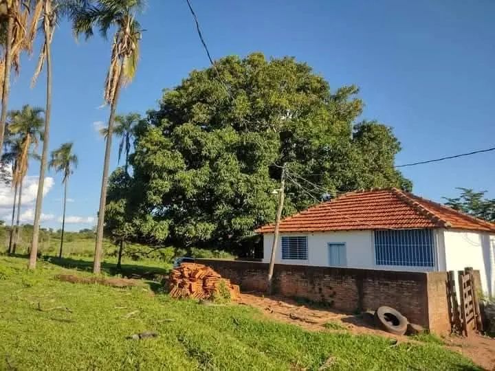 Vendo chácara de 7,5 alqueires a 17 km de Ituiutaba - Foto 4