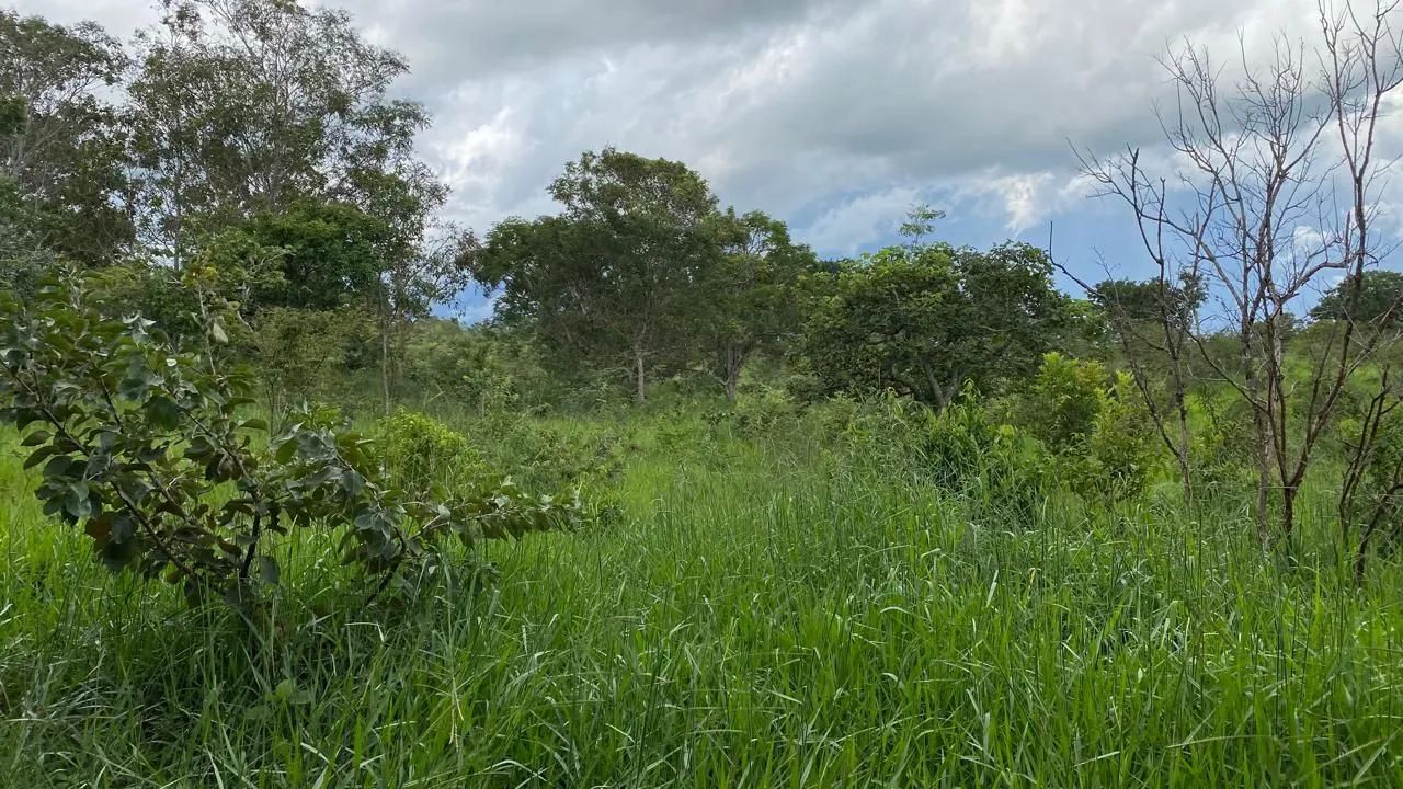 20mil mt em Bela Vista 70km de Goiânia ! - Foto 8