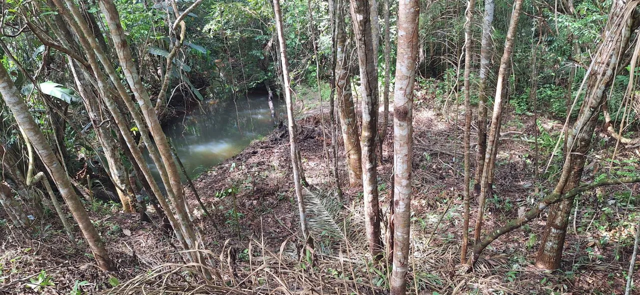 Terreno km 11 da BR 210 com igarapé