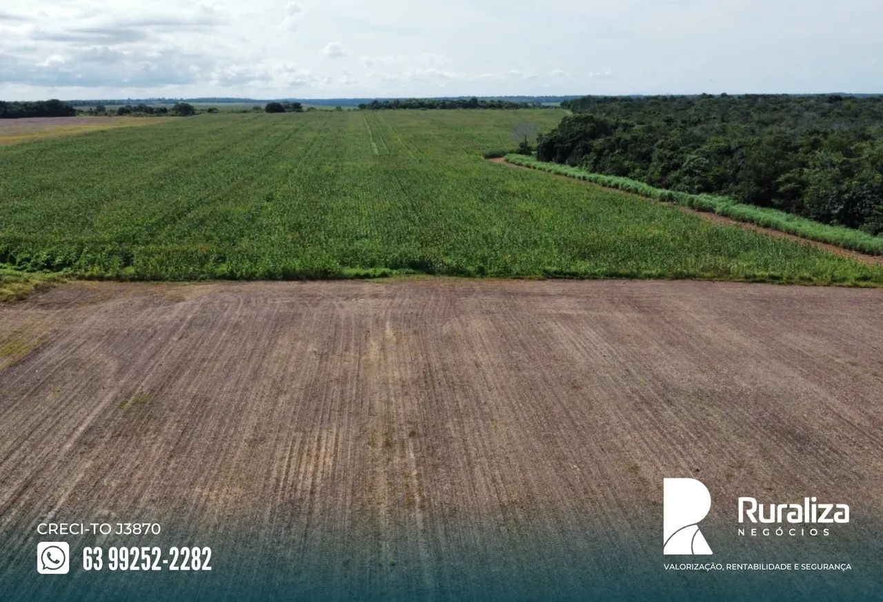 Fazenda em exploração agrícola, Vale do Araguaia - TO - Foto 3