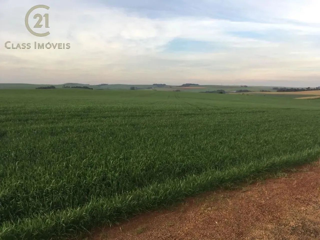 Sítio à venda em Marilândia do Sul, Centro, com 200 m²