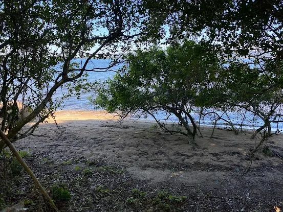 Lagoa da Conceição Terreno(Costa da Lagoa) Oportunidade Imperdível...510 MIL - Foto 5