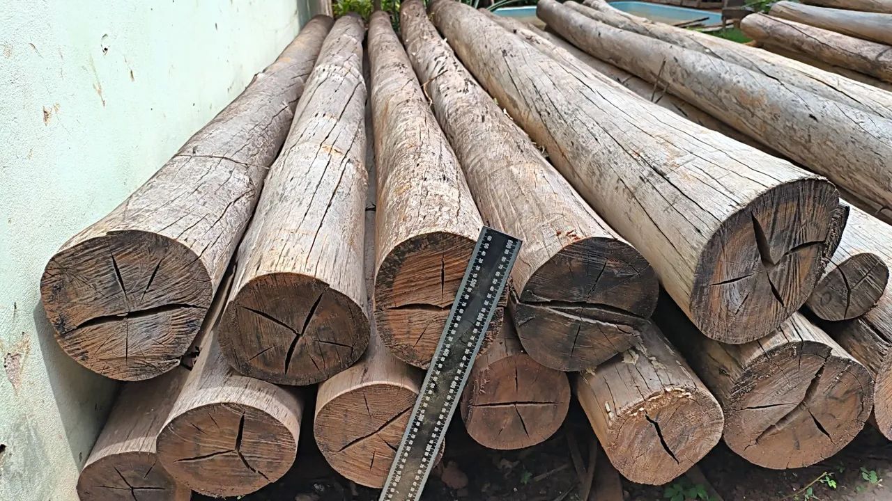 Postes madeira de eucalipto 