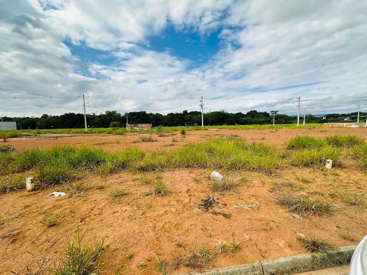 Foto - São José dos Campos - Bosque dos Eucaliptos