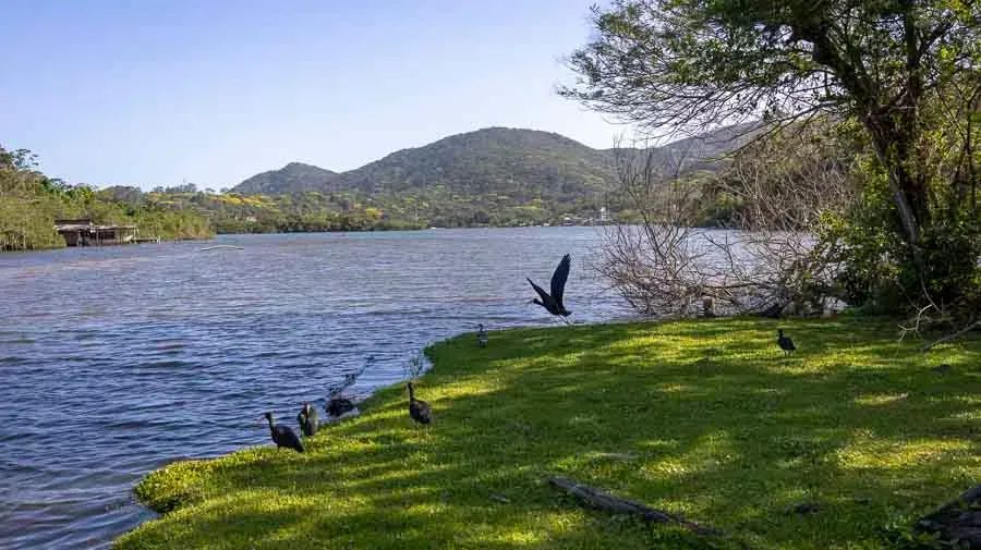 Vendo Apartamento Financiável à beira da Lagoa da Conceição
