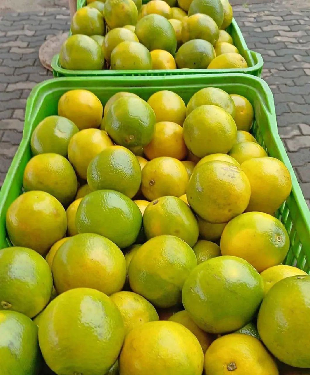 Melancia, Laranja e Mamão + entrega à domicílio  - Foto 3