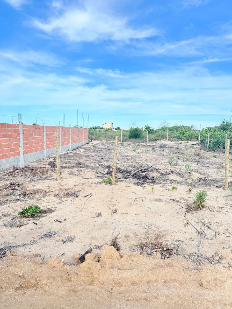 Foto - São Mateus - Guriri Norte
