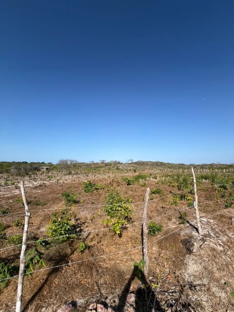 Oportunidade em Barreirinhas  -  MA  - Foto 5