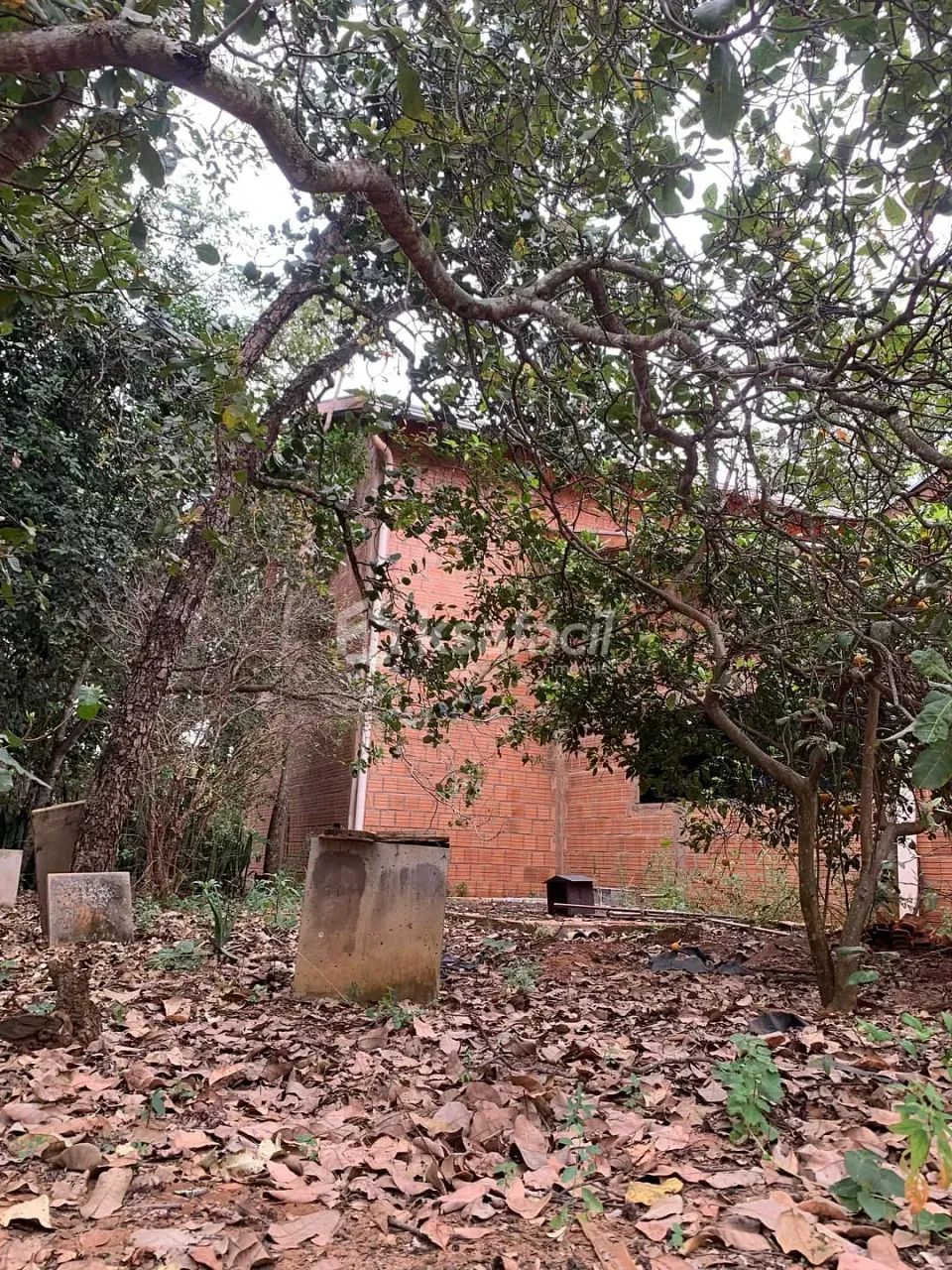 Chácara à venda, Chácara das Mansões, Campo Grande, MS - Foto 5