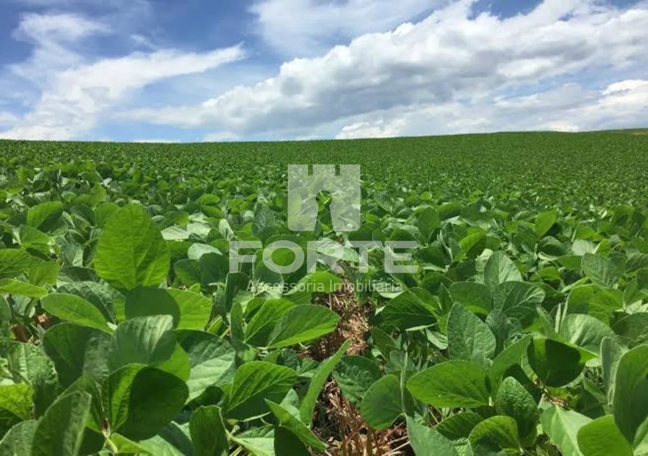 Fazenda a venda no município de Goiatins -Tocantins - Foto 2